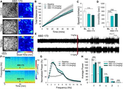 Comparative Assessment of TSPO Modulators on Electroencephalogram Activity and Exploratory Behavior